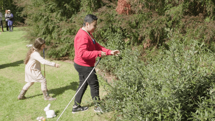 An Accessible Easter